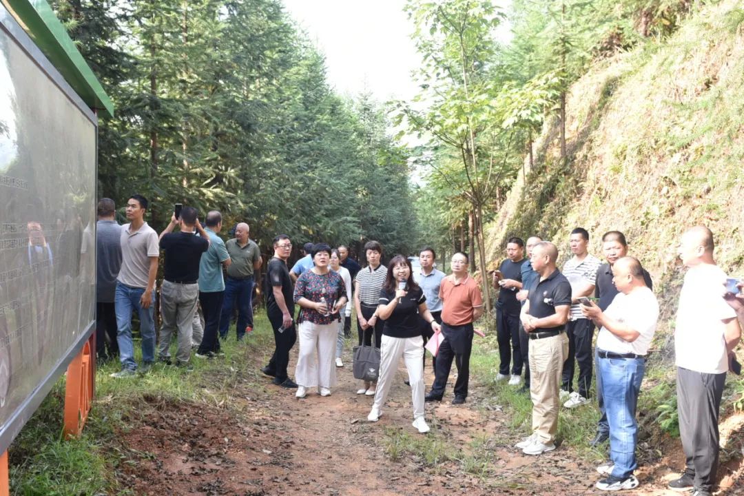 琵琶丘工区：三明市森林质量精准提升工程业务培训现场示范